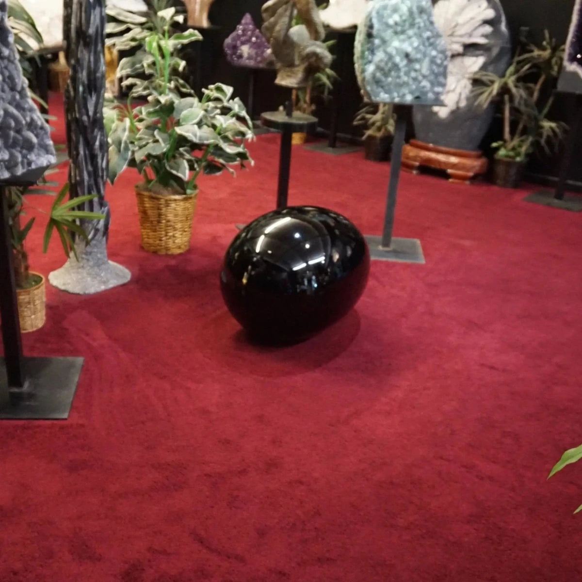 Large Black Obsidian Egg On Burgundy Carpet In Front Of Other Minerals