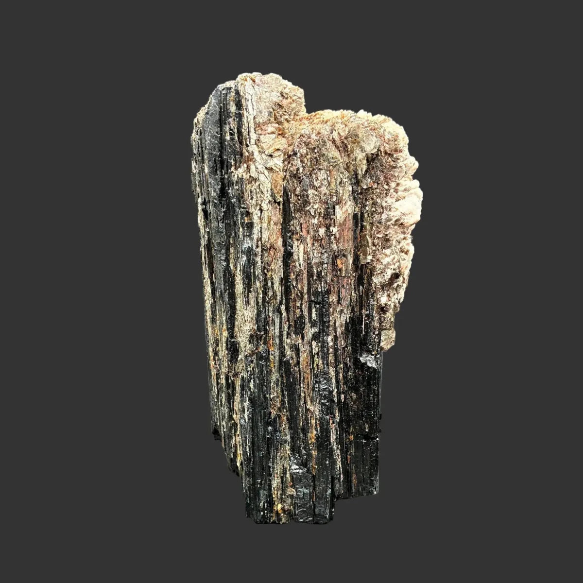 This is the left side of this piece of Tourmaline. It is black, cream, and gold in color.