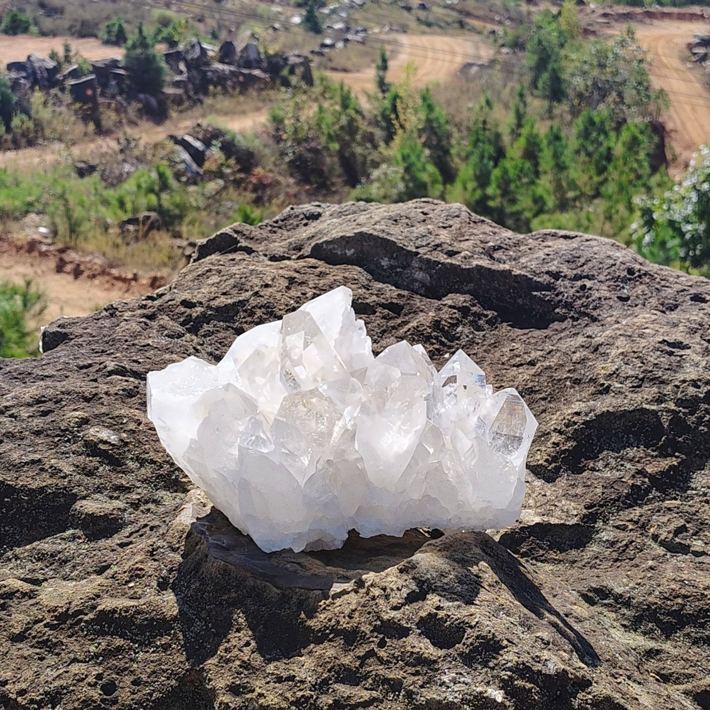 This is a Crystal Quartz cluster in outdoor natural light