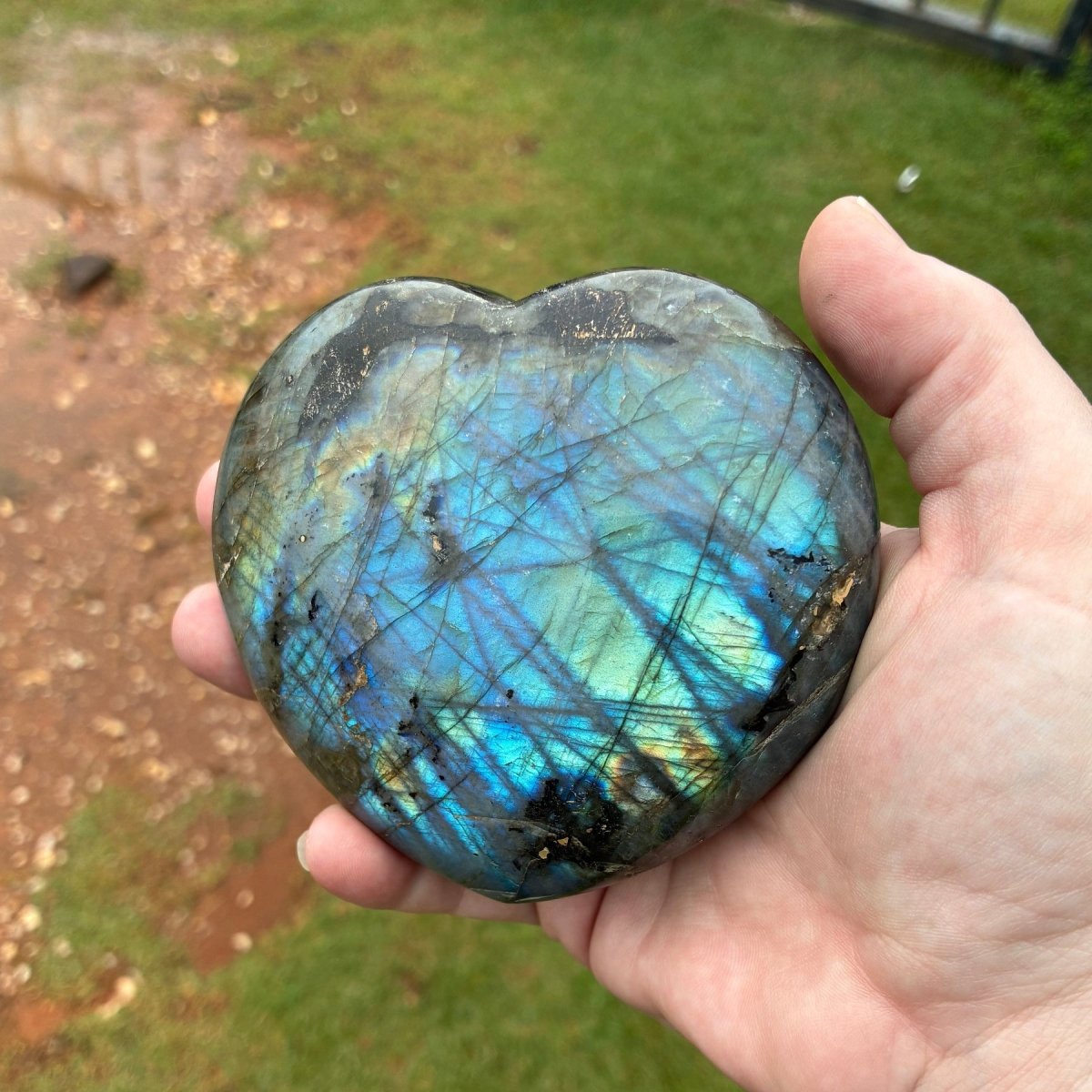 This is the front side of this polished Labradorite heart in natural outdoor lighting.