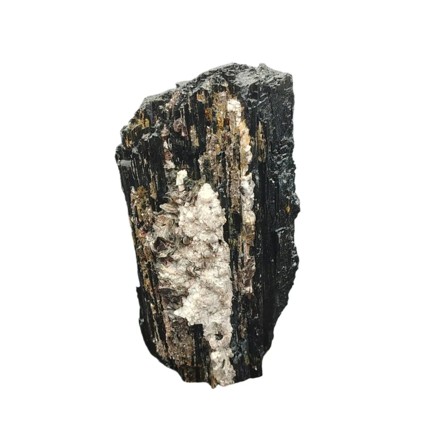 This is the front side of a raw black  Tourmaline with white Mica