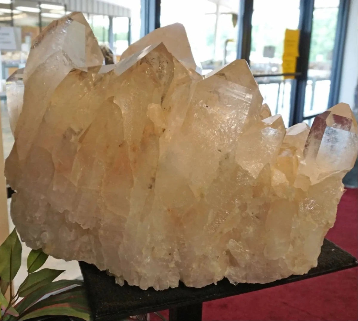 Huge Arkansas Clear Crystal Cluster Poolside Decor