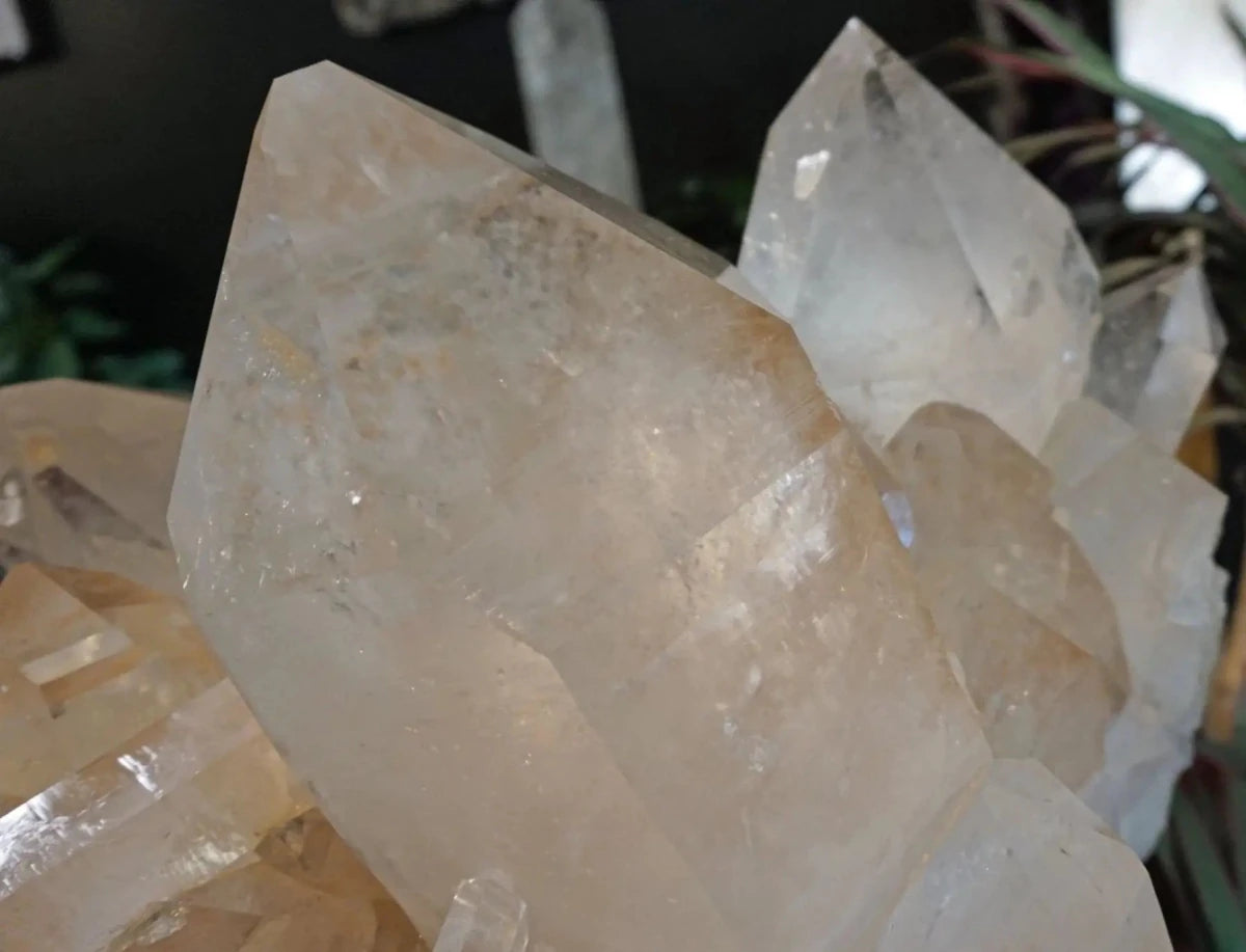 Huge Arkansas Clear Crystal Cluster Poolside Decor