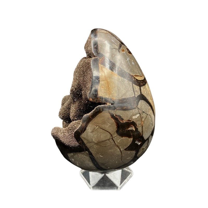 Large Septarian Dragon Egg Crystal Geode Stone With Quartz