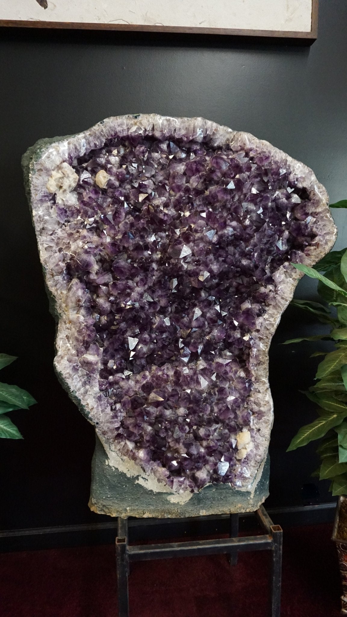 Large Show Piece Amethyst Geode Specimen