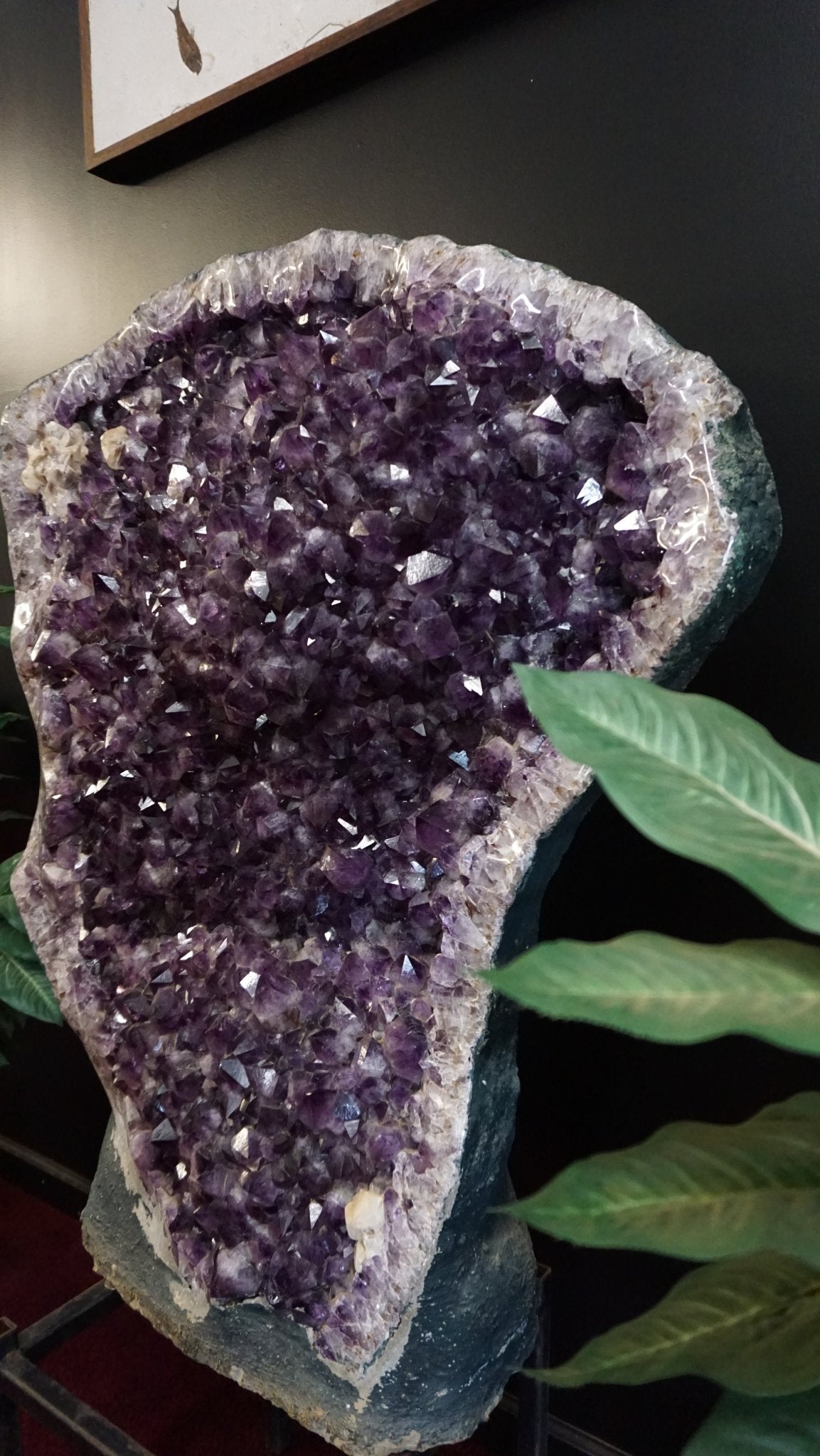 Large Show Piece Amethyst Geode Specimen