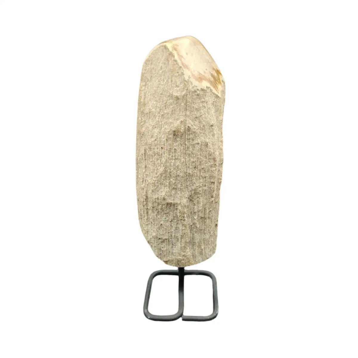 This is the back side of this piece of petrified wood on stand