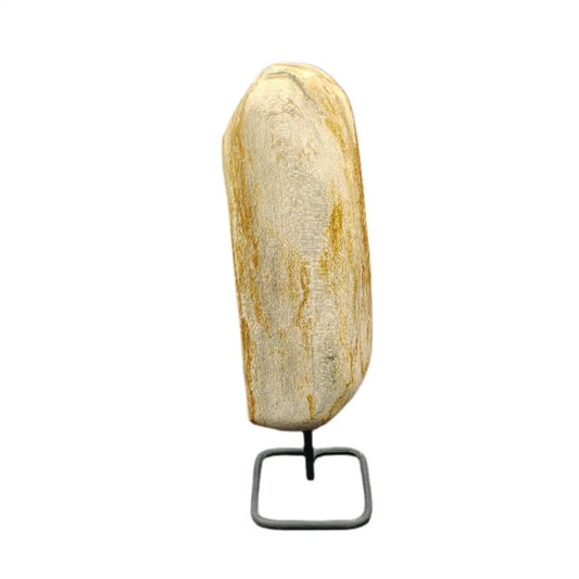 This is the front side of this piece of petrified wood on a stand.