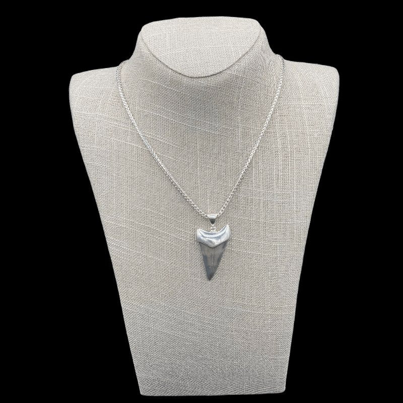 Mens Sterling Silver Fossil Shark Tooth Necklace