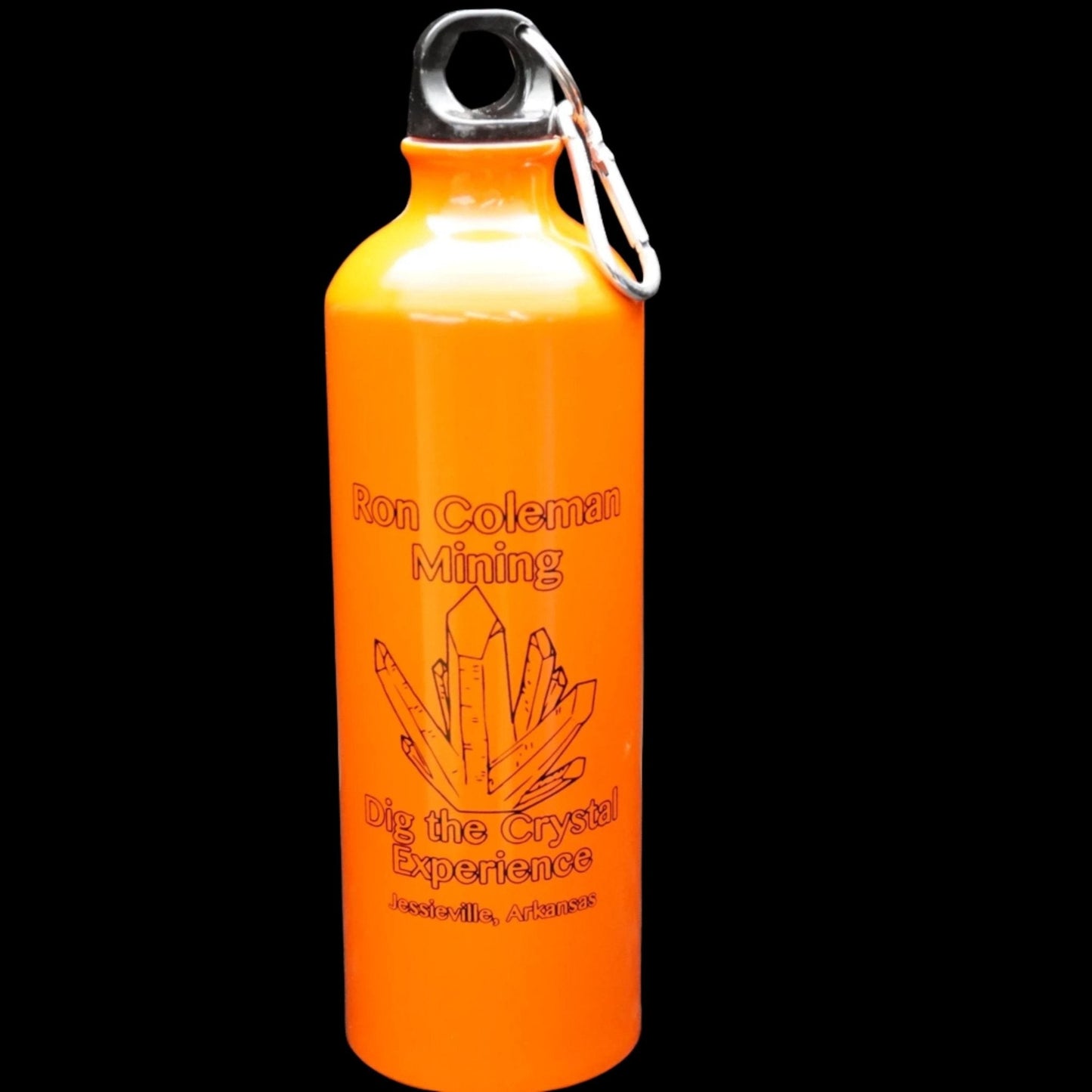 Metal Water Bottle BPA Free Caribiner Twist Cap Ron Coleman Souvenir