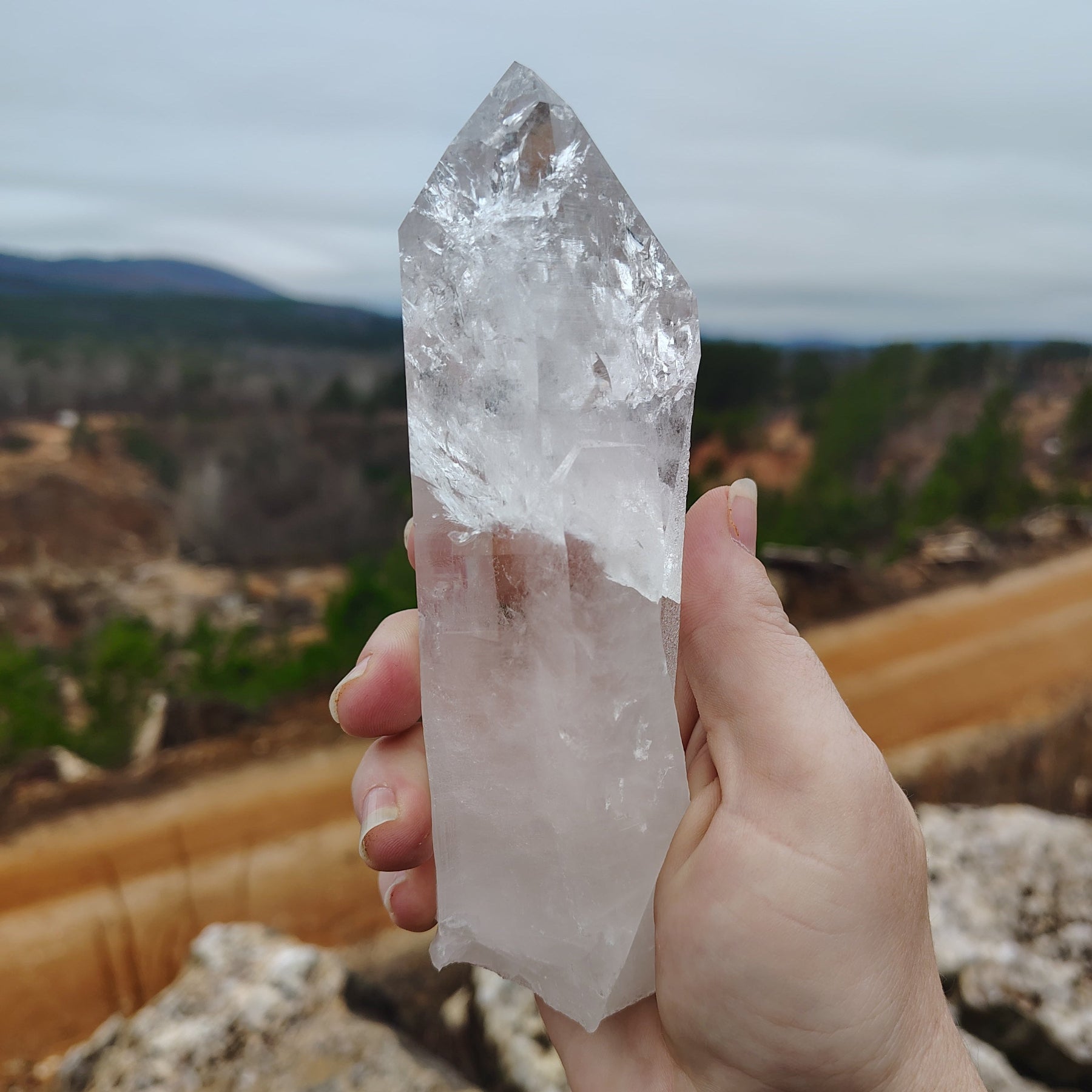 This is the back side of this Quartz crystal point, in front of a natural outdoor backgtound.