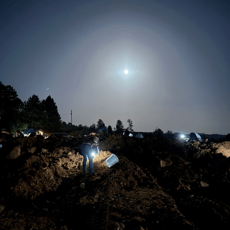 Moonlight Crystal Quest - 2026 Final Night Crystal Digging Event