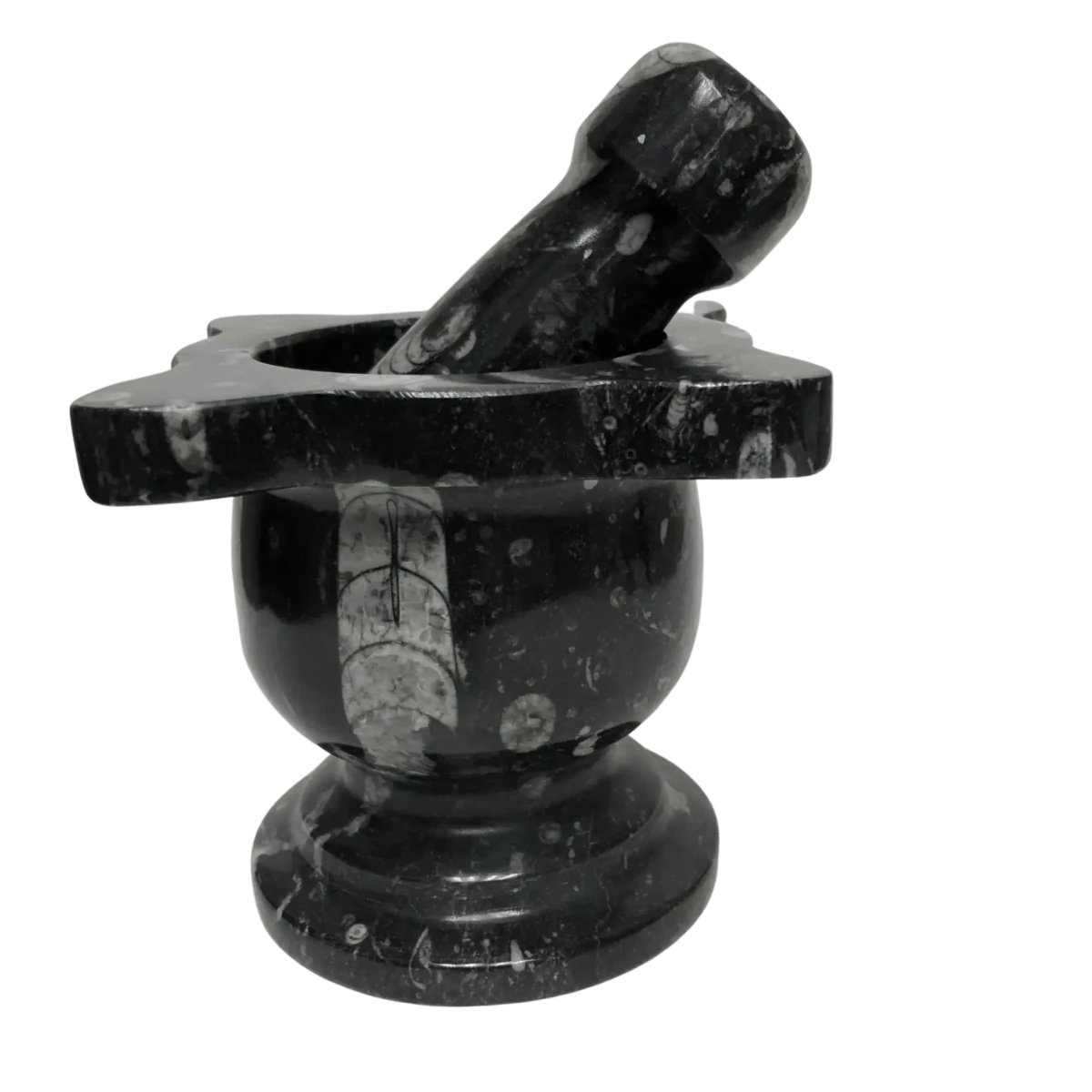 Mortar And Pestle Fossil With Scalloped Top Black Mineral