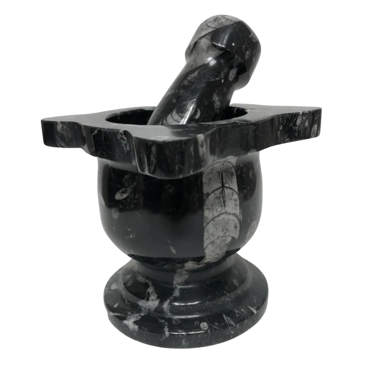 Mortar And Pestle Fossil With Scalloped Top Black Mineral