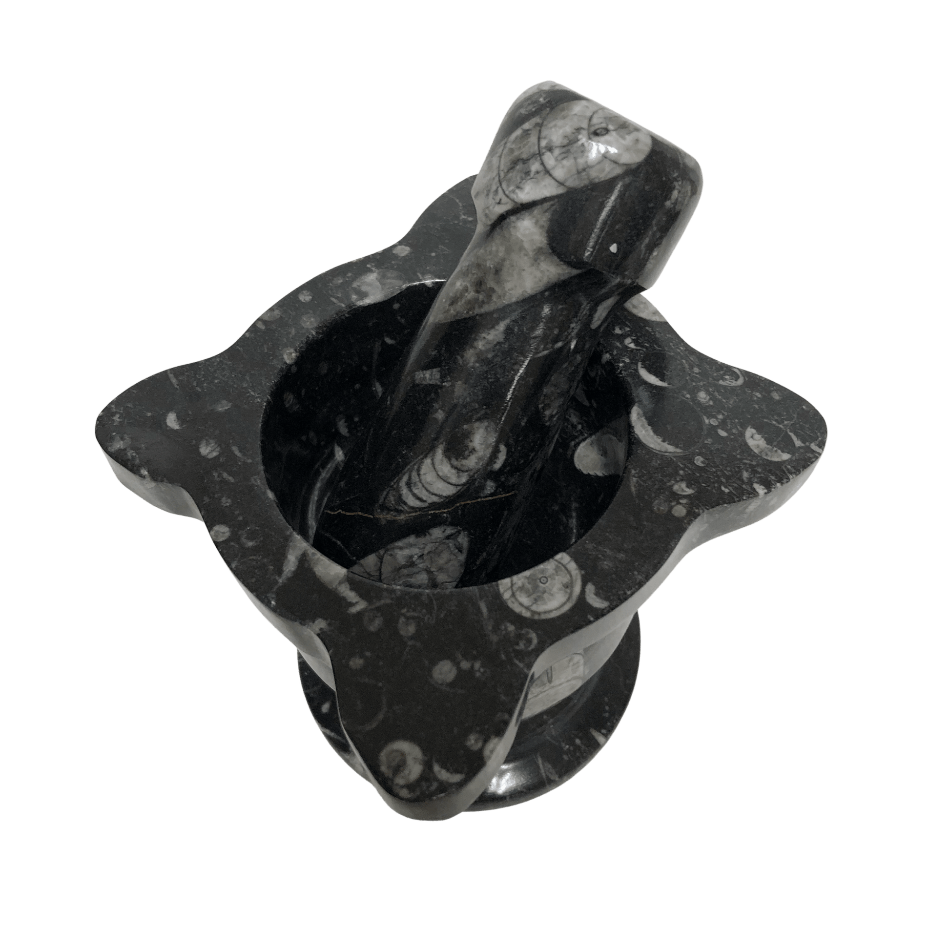 Mortar And Pestle Fossil With Scalloped Top Black Mineral