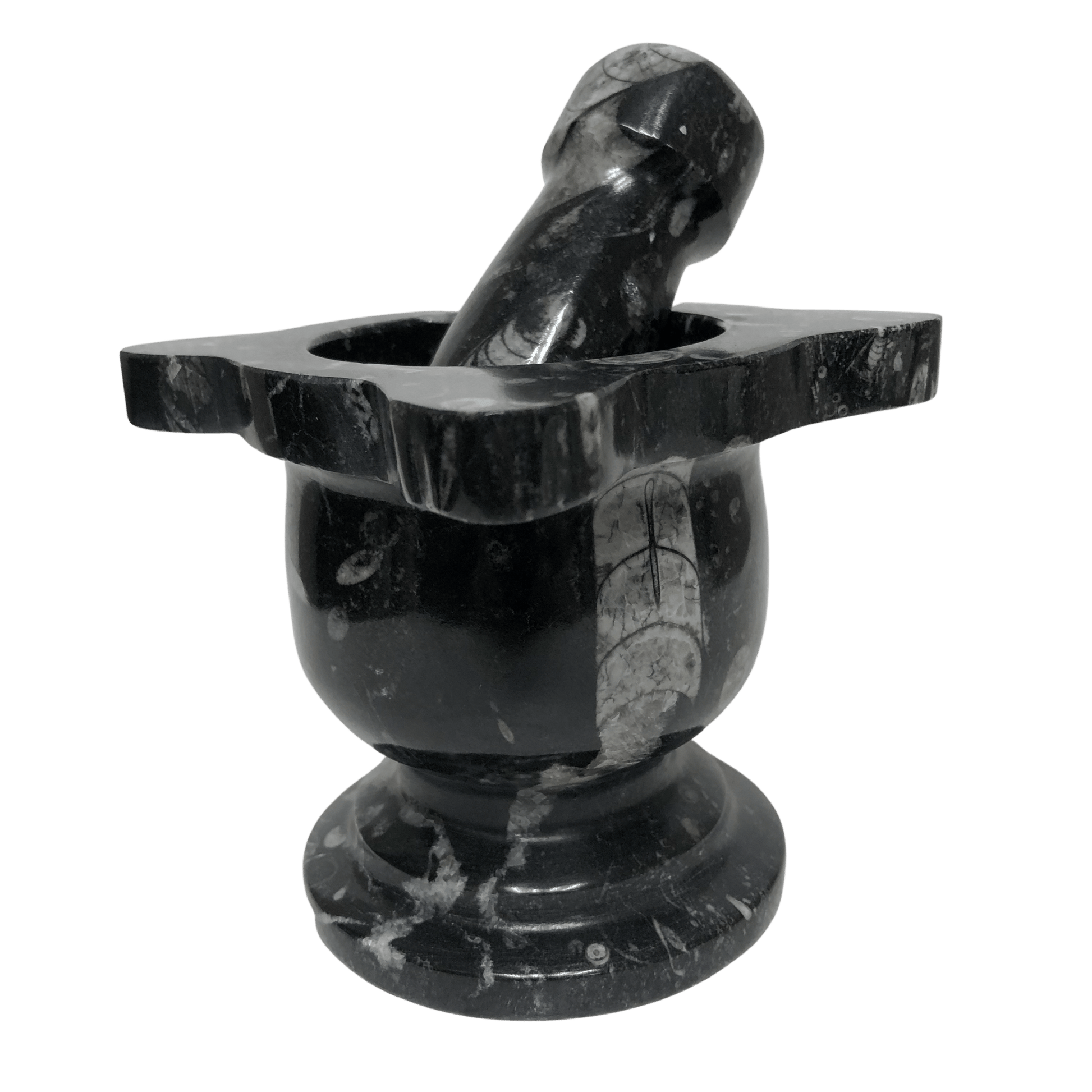 Mortar And Pestle Fossil With Scalloped Top Black Mineral