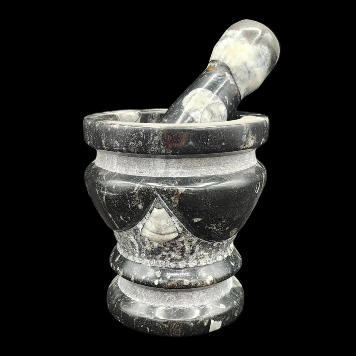 This is the back side of this black and white fossil mortar and pestle