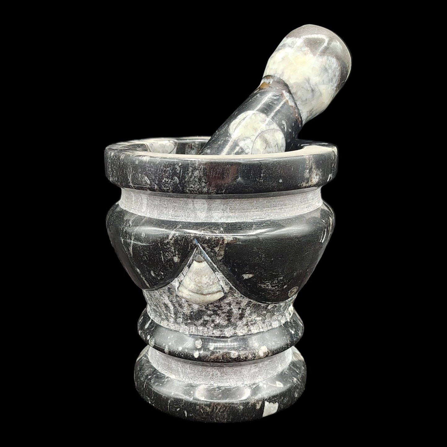 This is the back side of this black and white fossil mortar and pestle