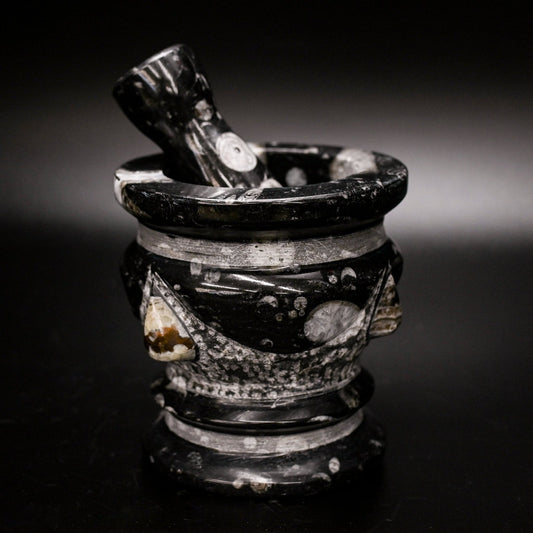 Black And White Mortar & Pestle Natural Fossil