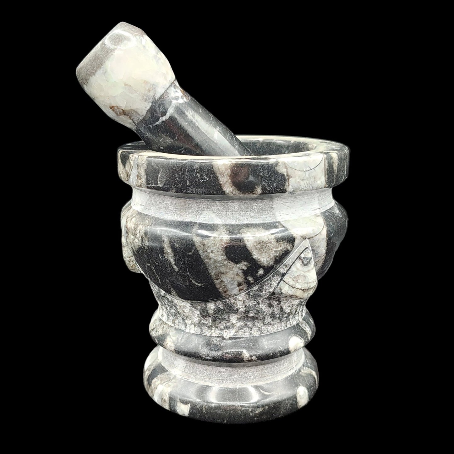 This is the front side of this black and white fossil mortar and pestle