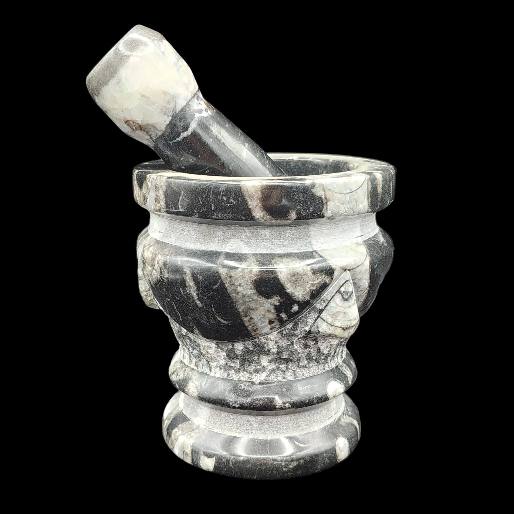 This is the front side of this black and white fossil mortar and pestle