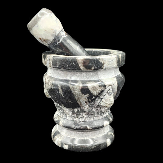 This is the front side of this black and white fossil mortar and pestle