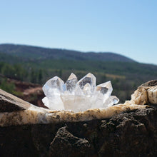 Load image into Gallery viewer, Multiple Point Super Blue Moon Charged Quartz Crystal Cluster
