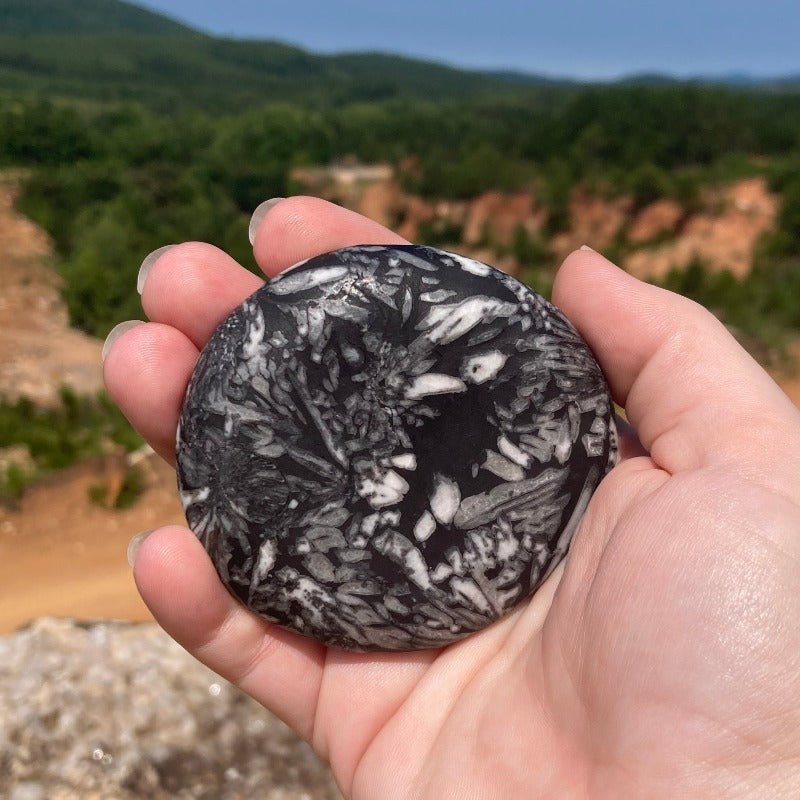 Natural Chrysanthemum Flower Stone