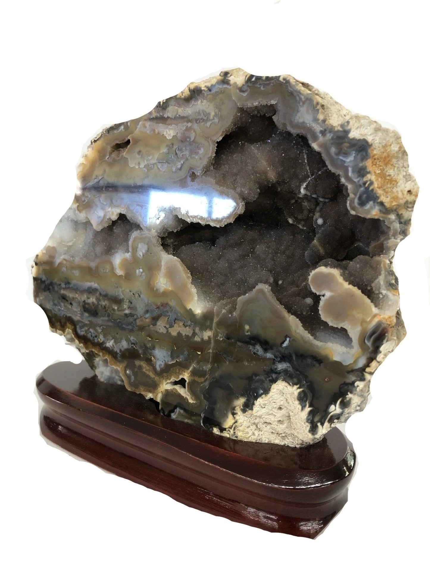 Natural Polished Agate On Wood Display Stand Multi Color Patterns