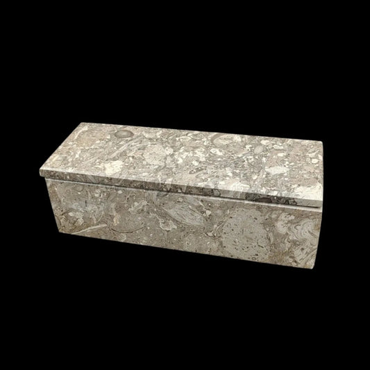 This is the front view of this oceanic fossil onyx domino set. You can see the ocean fossils all throughout it.