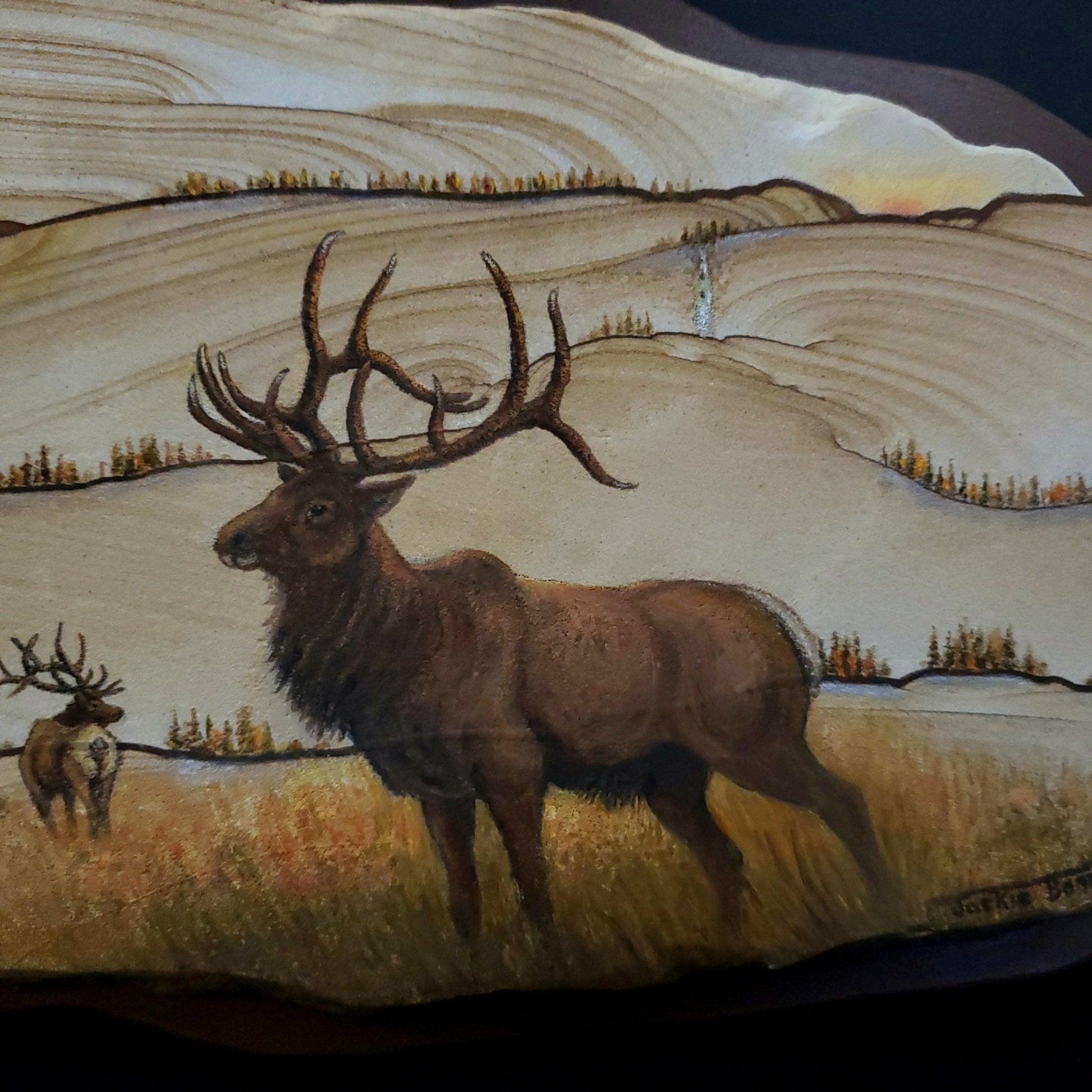 Elk Painted On Sandstone Closeup