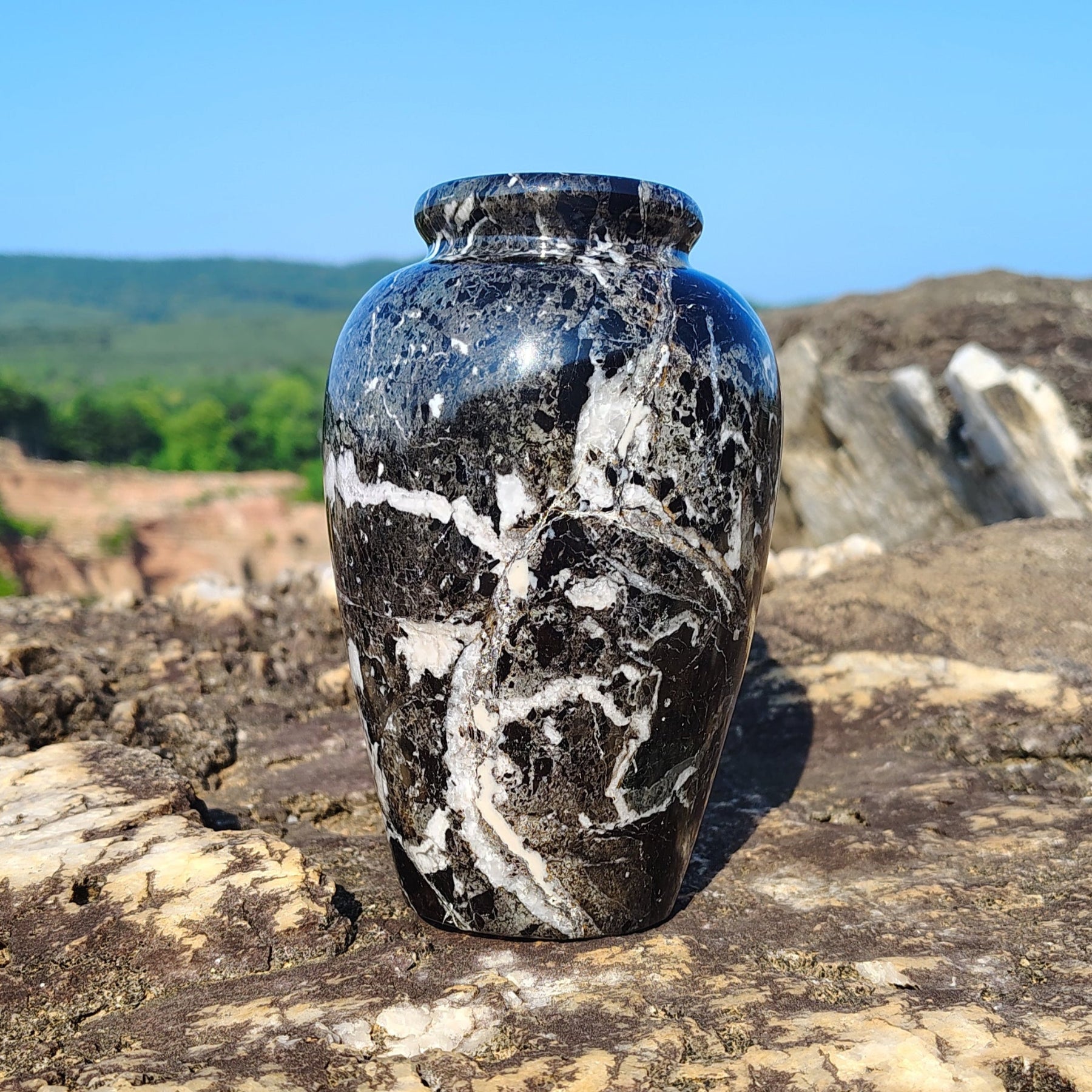 This is the black and white onyx vase in natural outdoor light