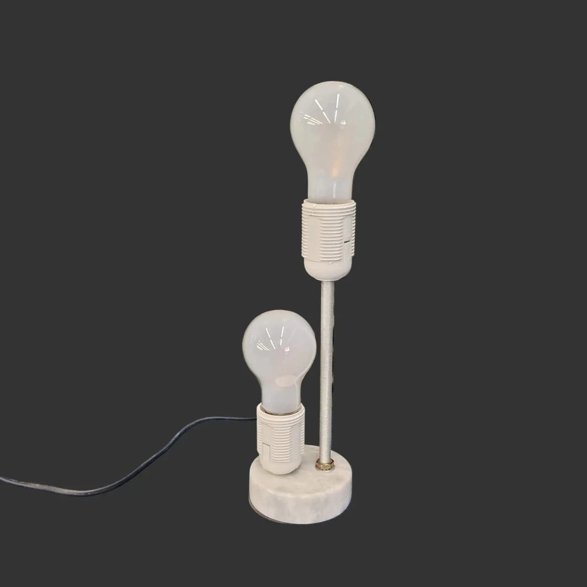 This is the light component in this lamp. 