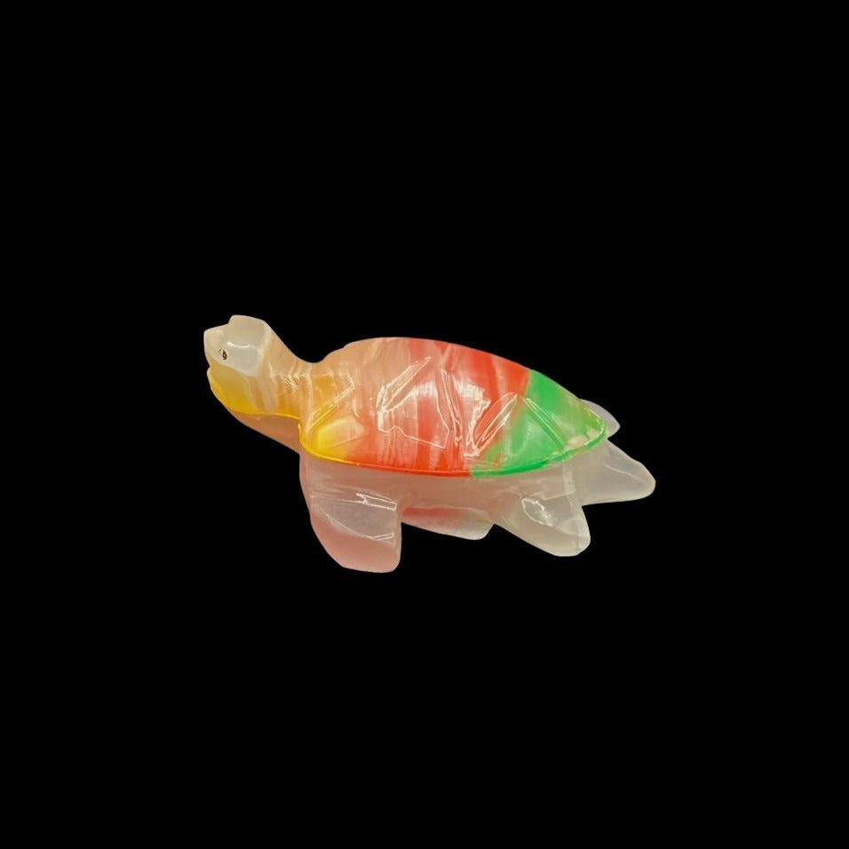 Onyx Sea Turtle 