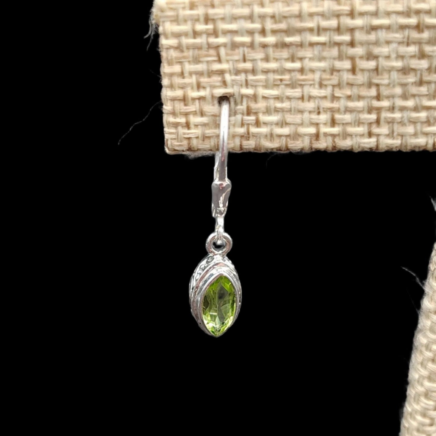 This is a close up of one of the earrings