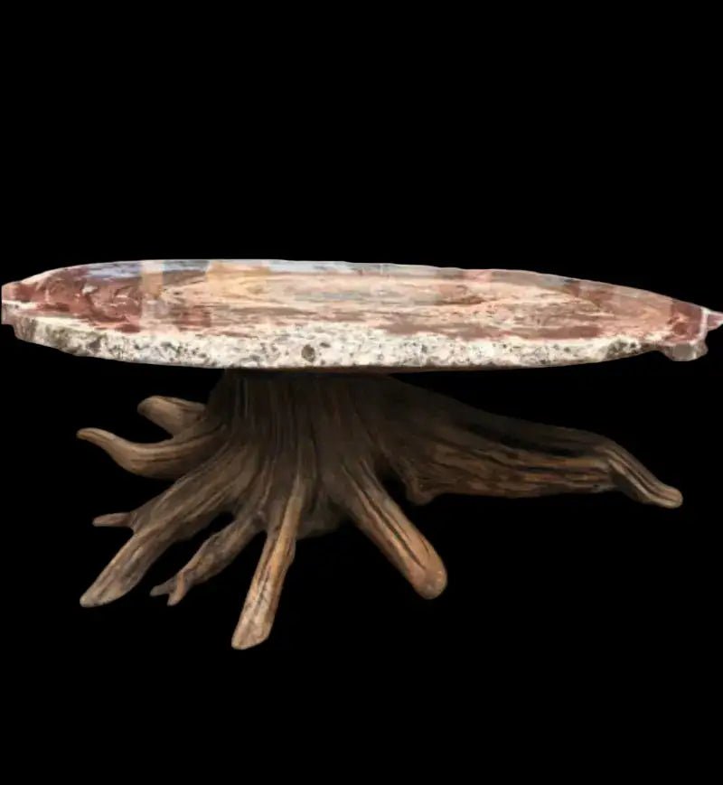 Side View Of Petrified Wood Edge And Driftwood Base
