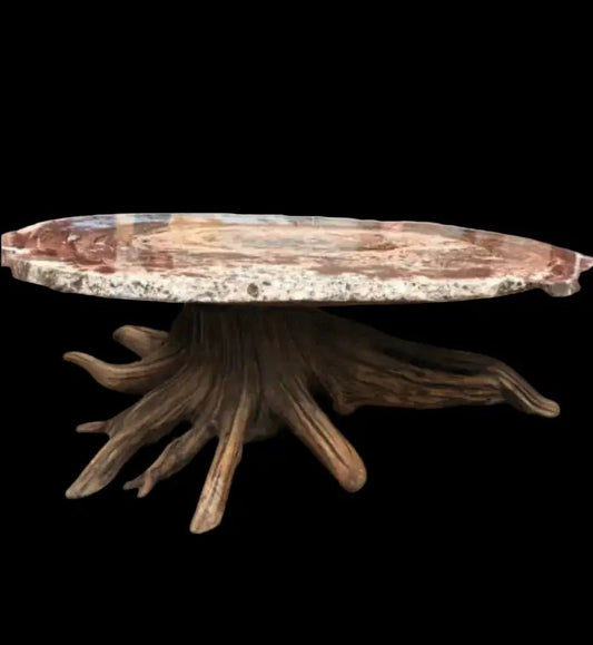 Side View Of Petrified Wood Edge And Driftwood Base