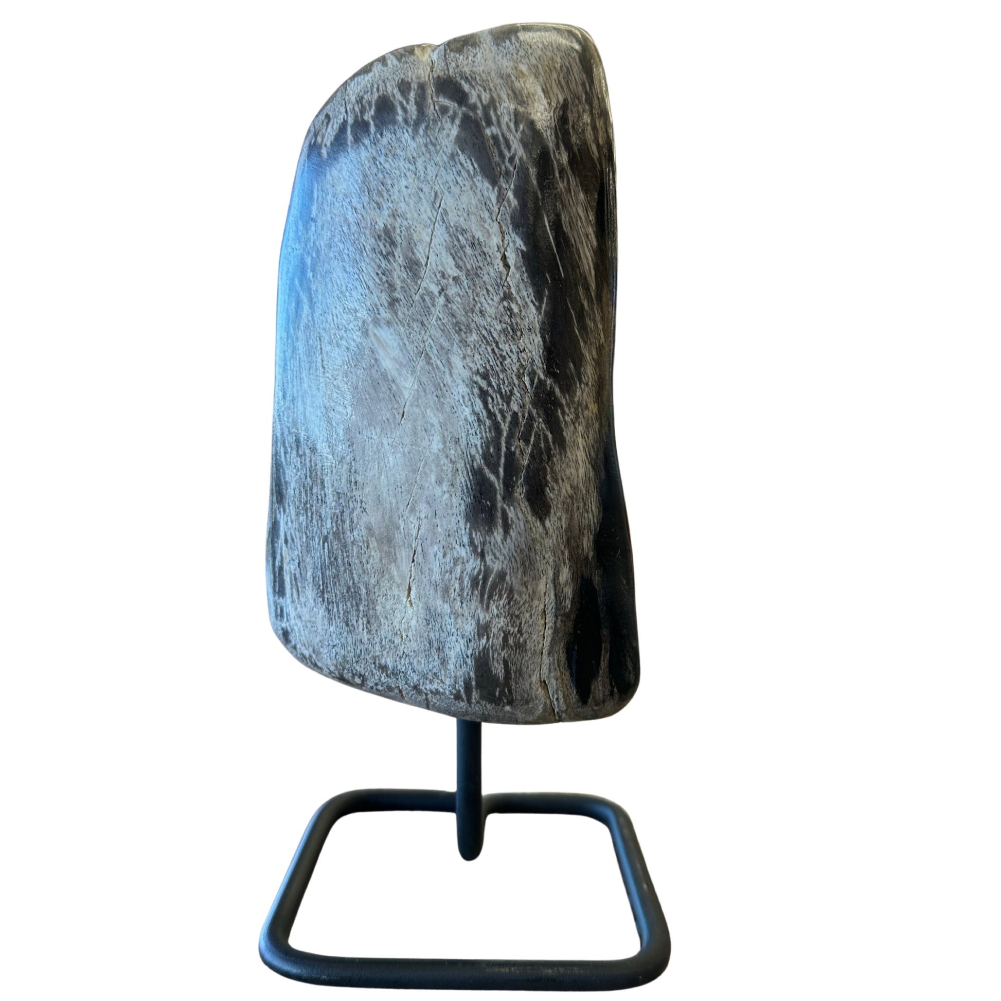 Petrified Wood Polished On Stand