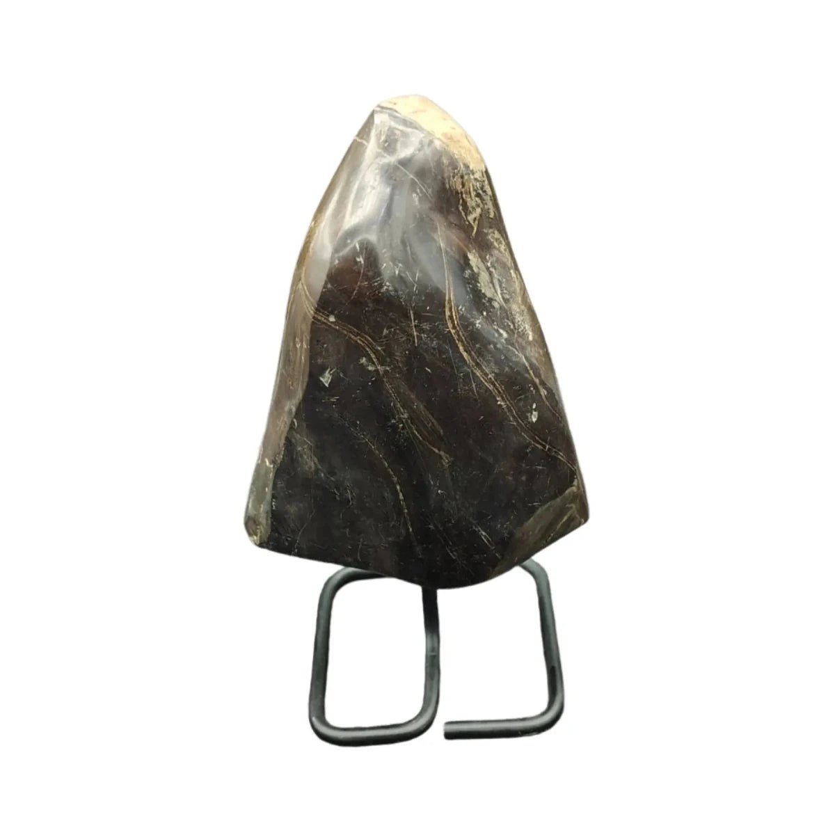 This is the back side of this piece of petrified wood on stand
