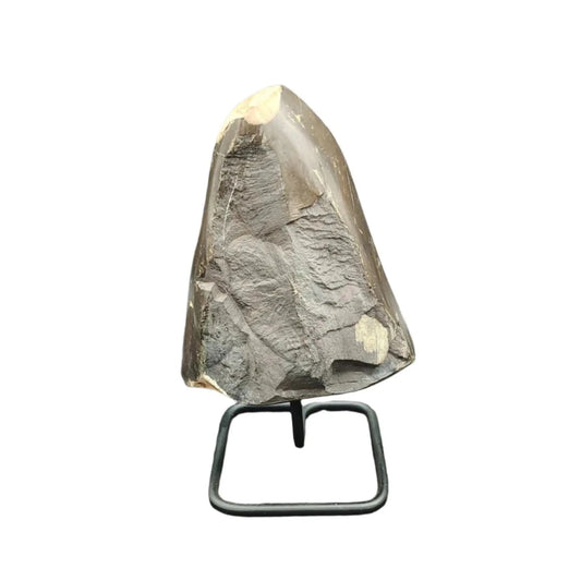 This is the front side of this piece of petrified wood on a stand