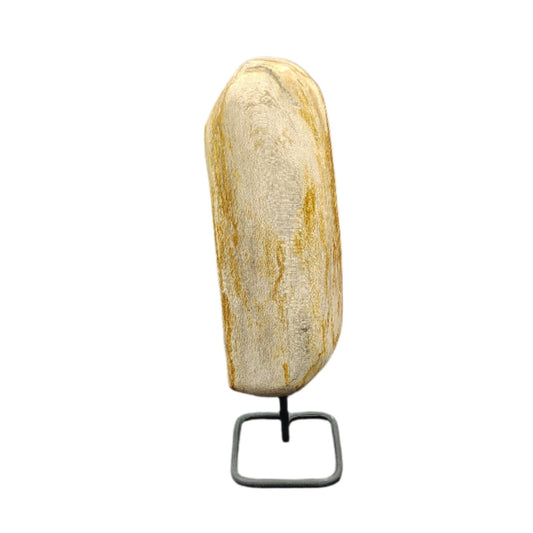 This is the front side of this piece of petrified wood on a stand.