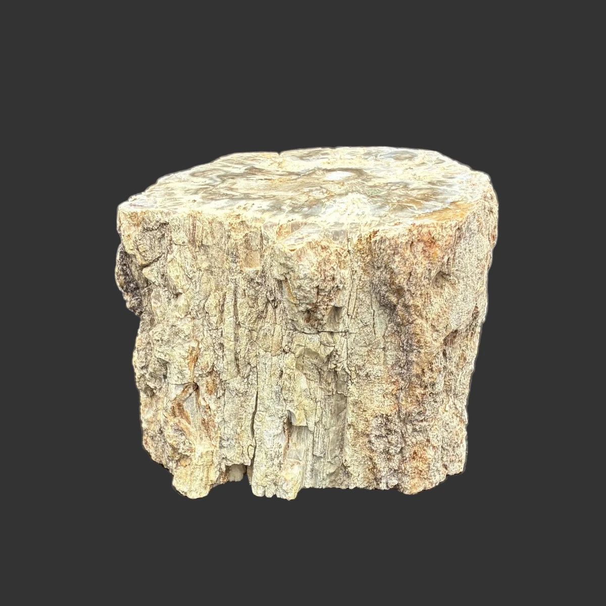 Front side of this petrified wood stump, in front of a black background.