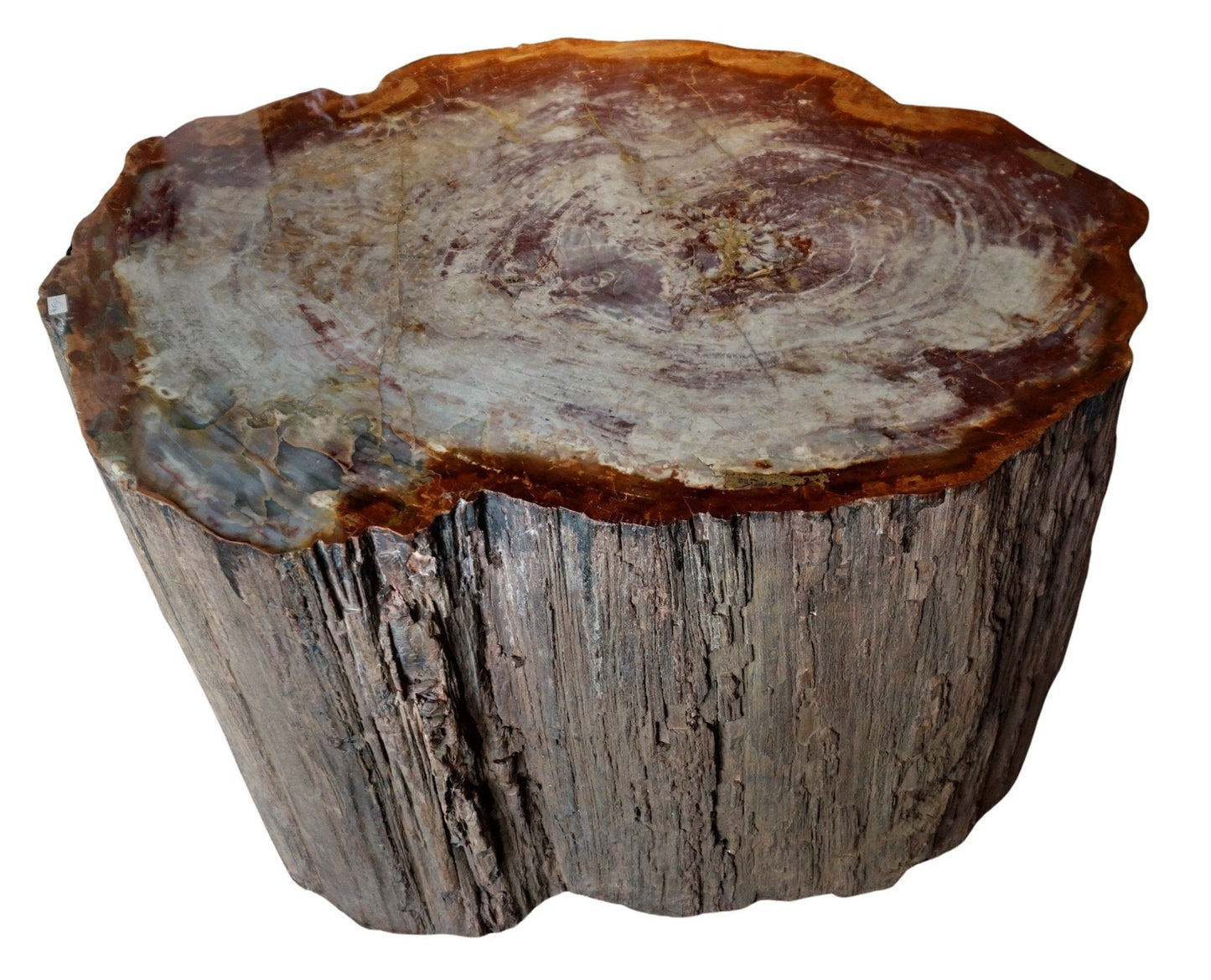 Petrified Wood Stump Unique Table Base Home Decor Idea