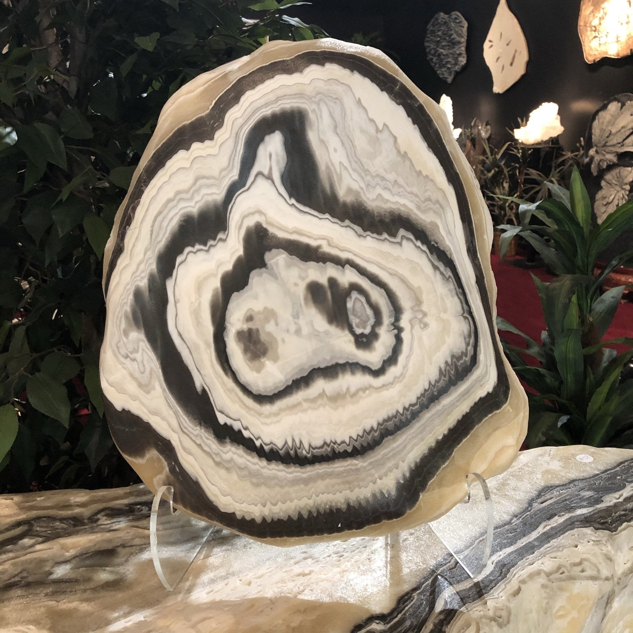 Slicing Rocks Fine Minerals Gallery – Ron Coleman Mining