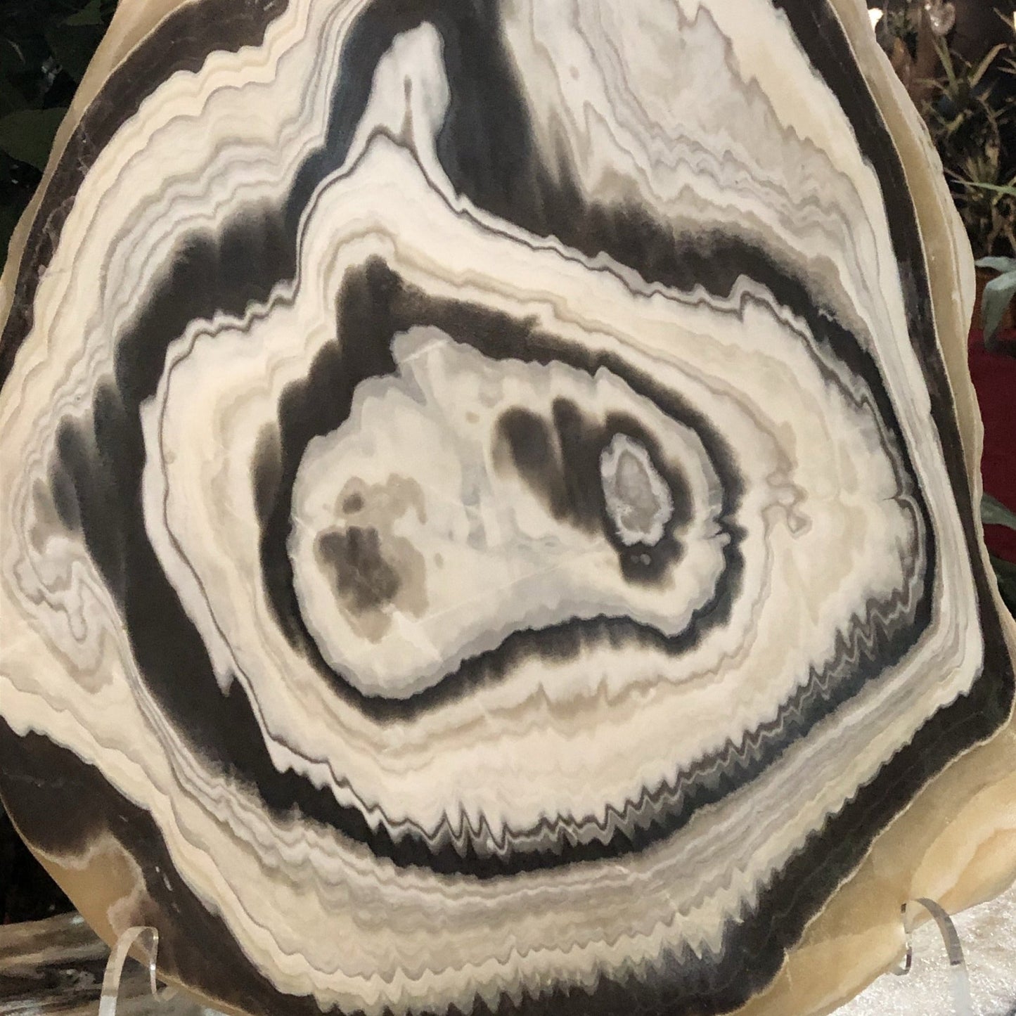 Close Up Of Phantom Calcite Slice