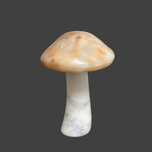 This Agate Mushroom Has Been Handcarved And polished