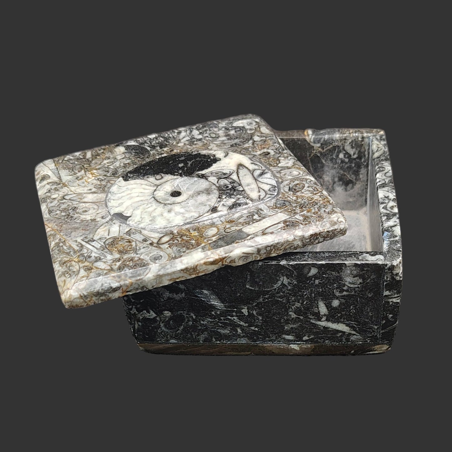 This is the ammonite trinket lid slightly open.