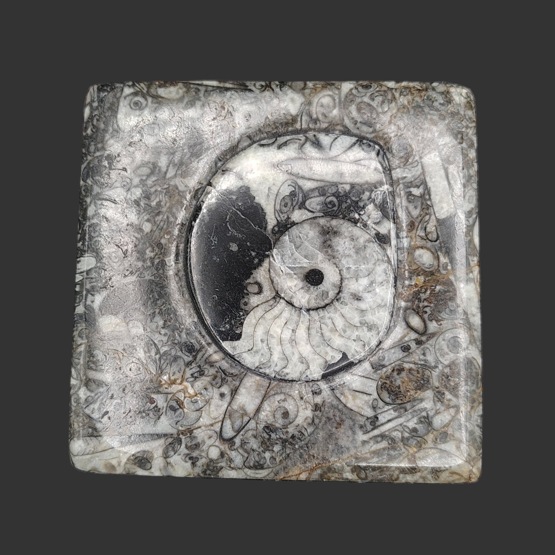 This is the top view of the lid.