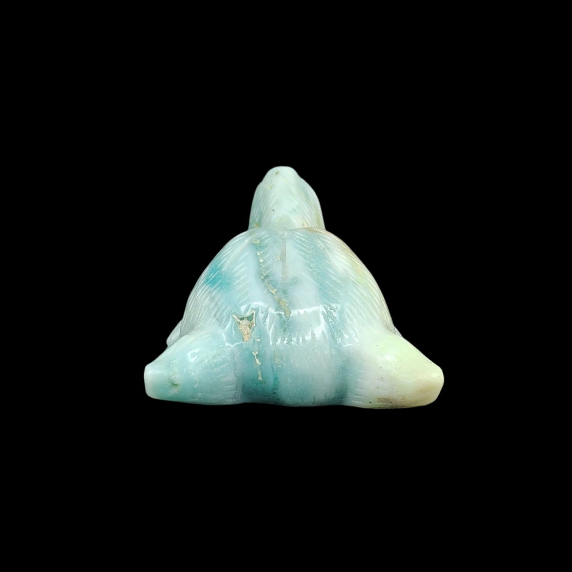 This is the back side of this Amazonite wolf head