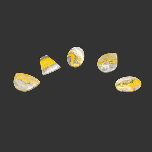 Grouping of 5 Bumblebee Jasper Cabochons